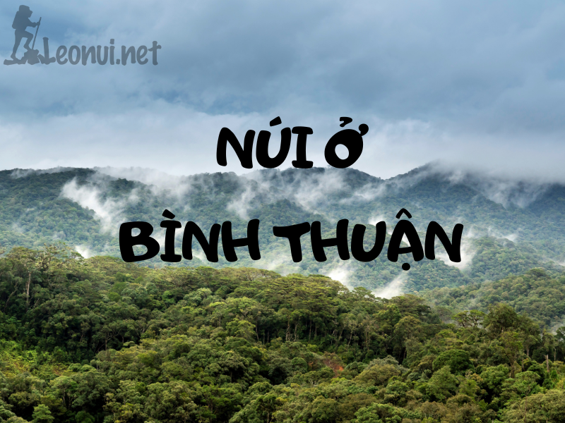 Leo núi ở Bình Thuận - Top địa điểm leo núi ở Bình Thuận