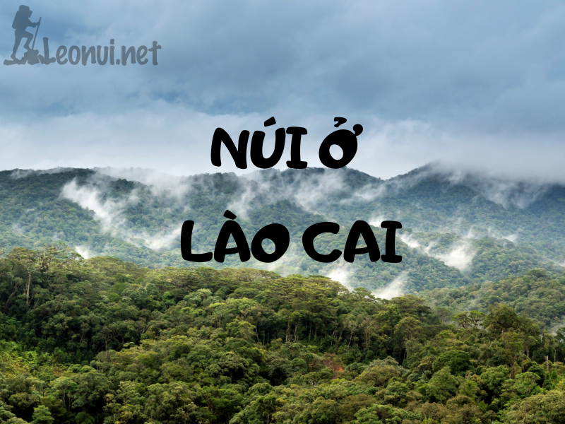 Leo núi ở Lào Cai - Top địa điểm leo núi ở Lào Cai