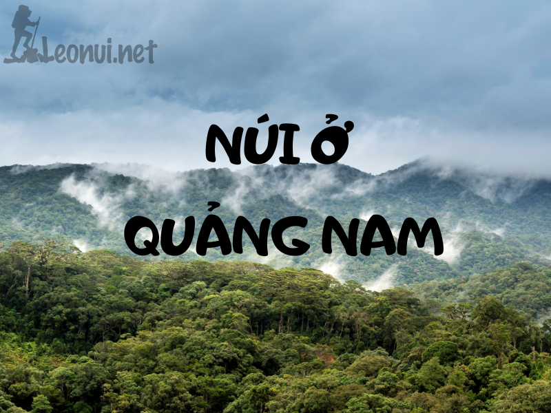 Leo núi ở Quảng Nam - Top địa điểm leo núi ở Quảng Nam