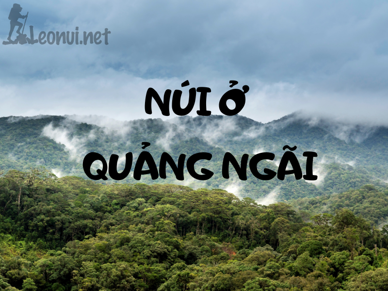 Leo núi ở Quảng Ngãi - Top địa điểm leo núi ở Quảng Ngãi