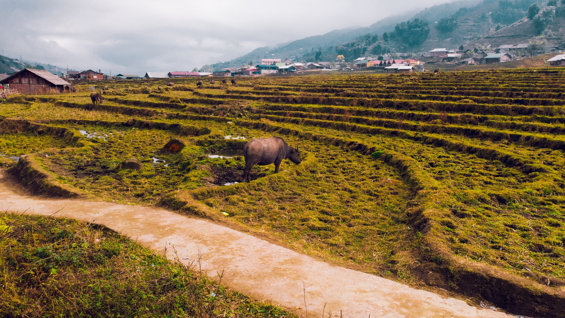 trekking sapa l&agrave;o cai 